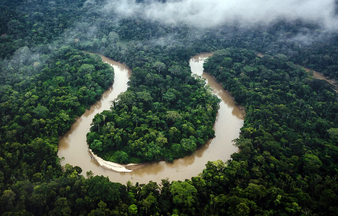 Фото обои Река, Эквадор, River, Ecuador, Amazon, Амазонка, Rainforest, Тропический лес