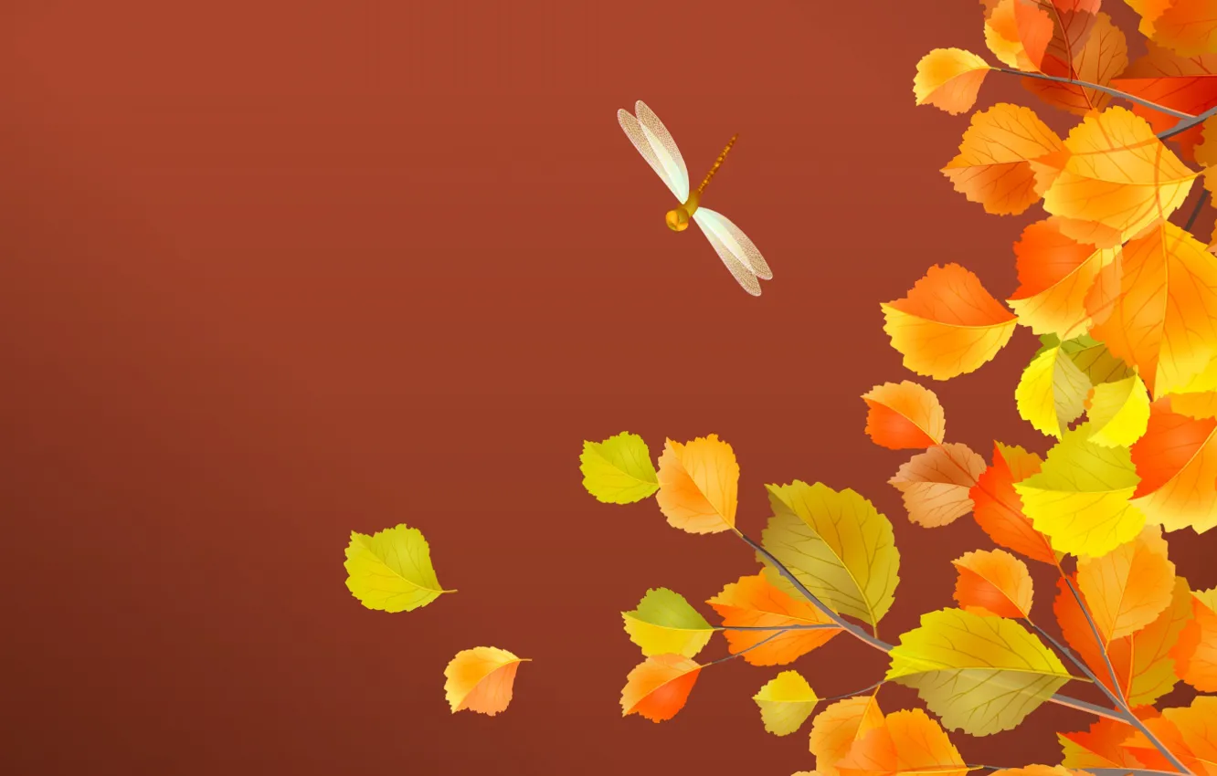 Фото обои осень, листья, стрекоза