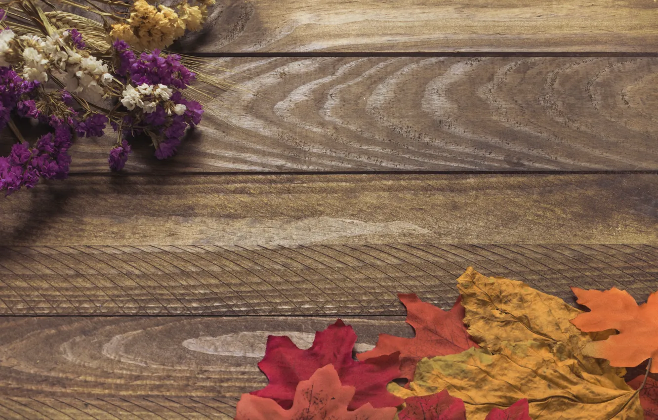 Фото обои осень, листья, цветы, фон, дерево, colorful, wood, background
