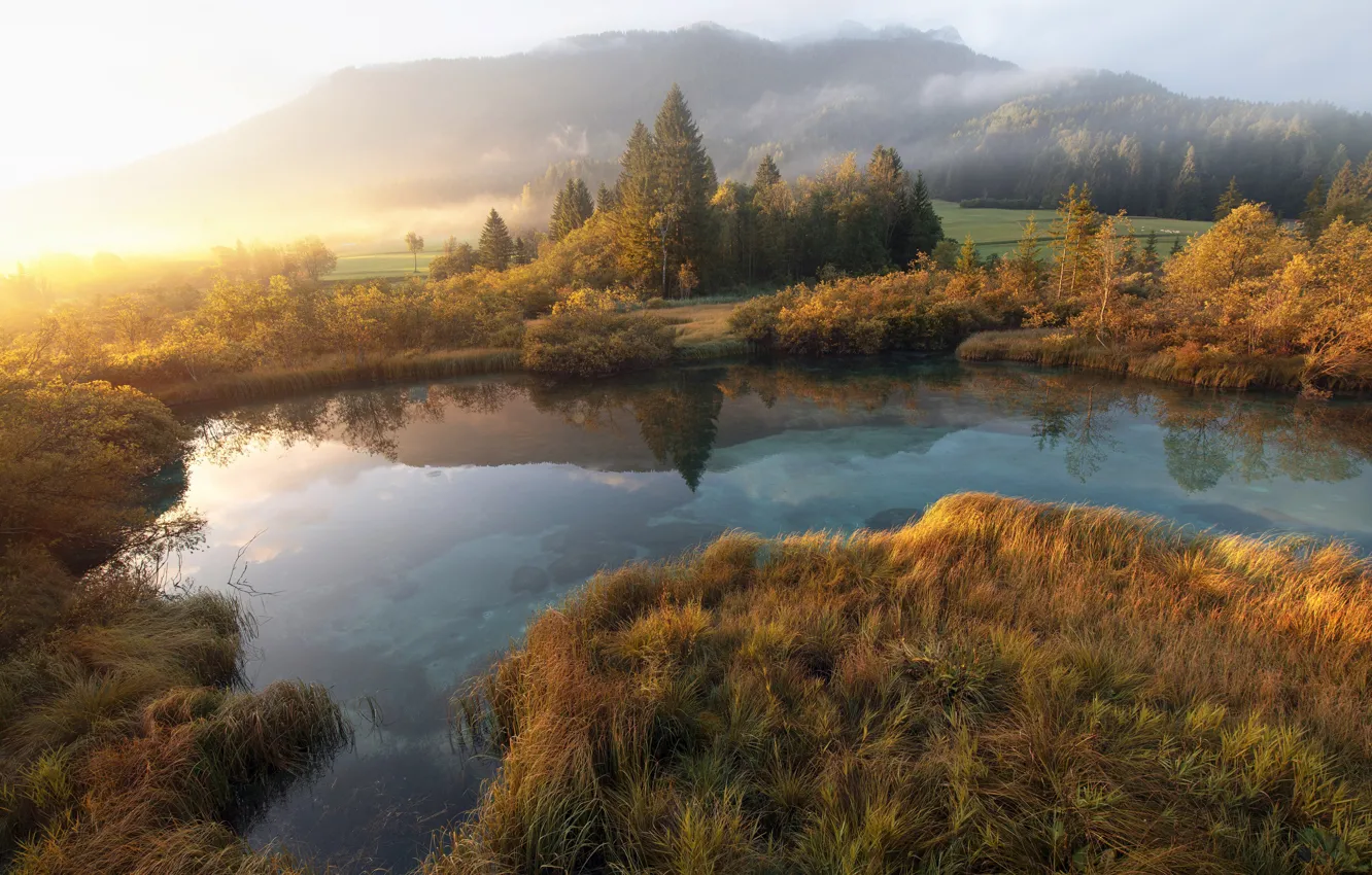 Фото обои поле, осень, лес, трава, свет, деревья, горы, туман