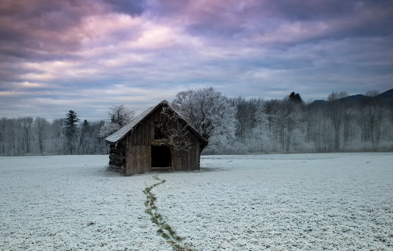 Фото обои зима, поле, дом, Следуйте за мной