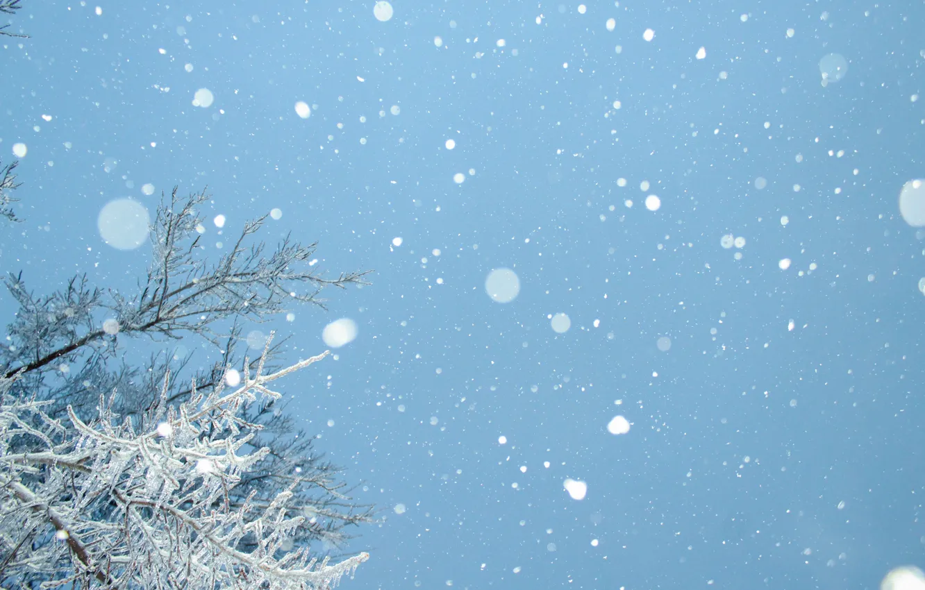Фото обои winter, snow, snowflakes