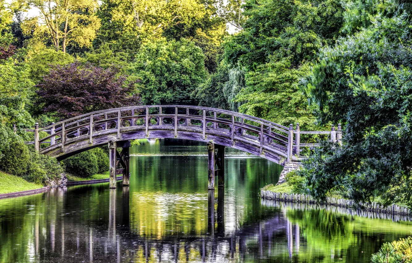 Фото обои деревья, мост, пруд, парк, США, Missouri Botanical Garden