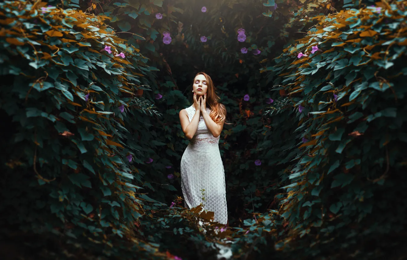 Фото обои девушка, цветы, природа, платье, фотограф, Ronny Garcia
