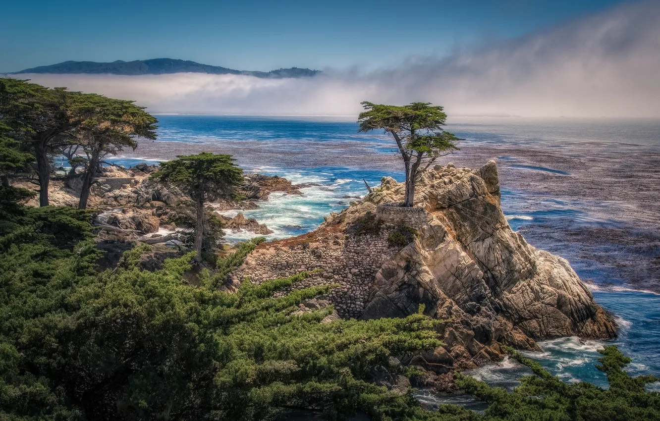Фото обои деревья, скала, побережье, Калифорния, залив, California, кипарисы, Pebble Beach