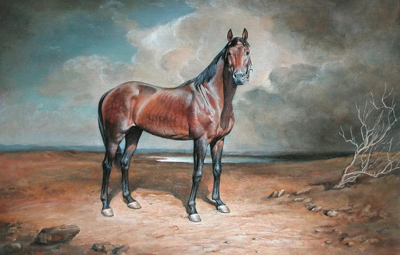 Фото обои конь, ветка, Айбек Бегалин, 2005г, Вольфрам