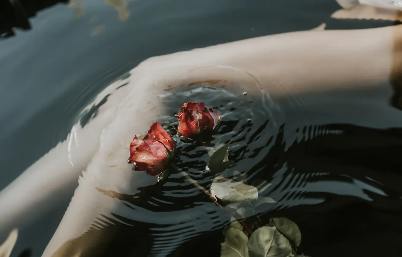 Фото обои вода, розы, ножки, Andrea Pi
