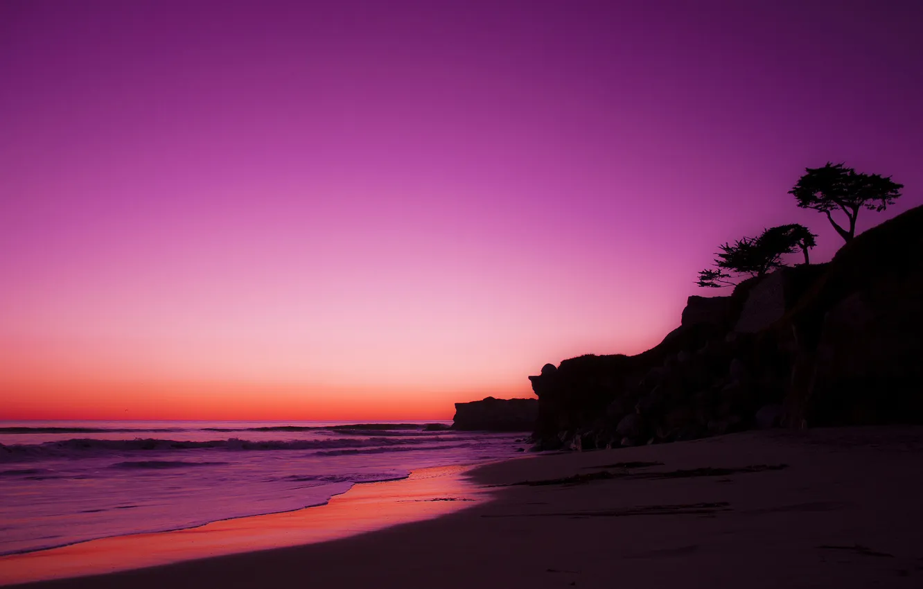 Фото обои песок, пляж, деревья, скала, океан, рассвет