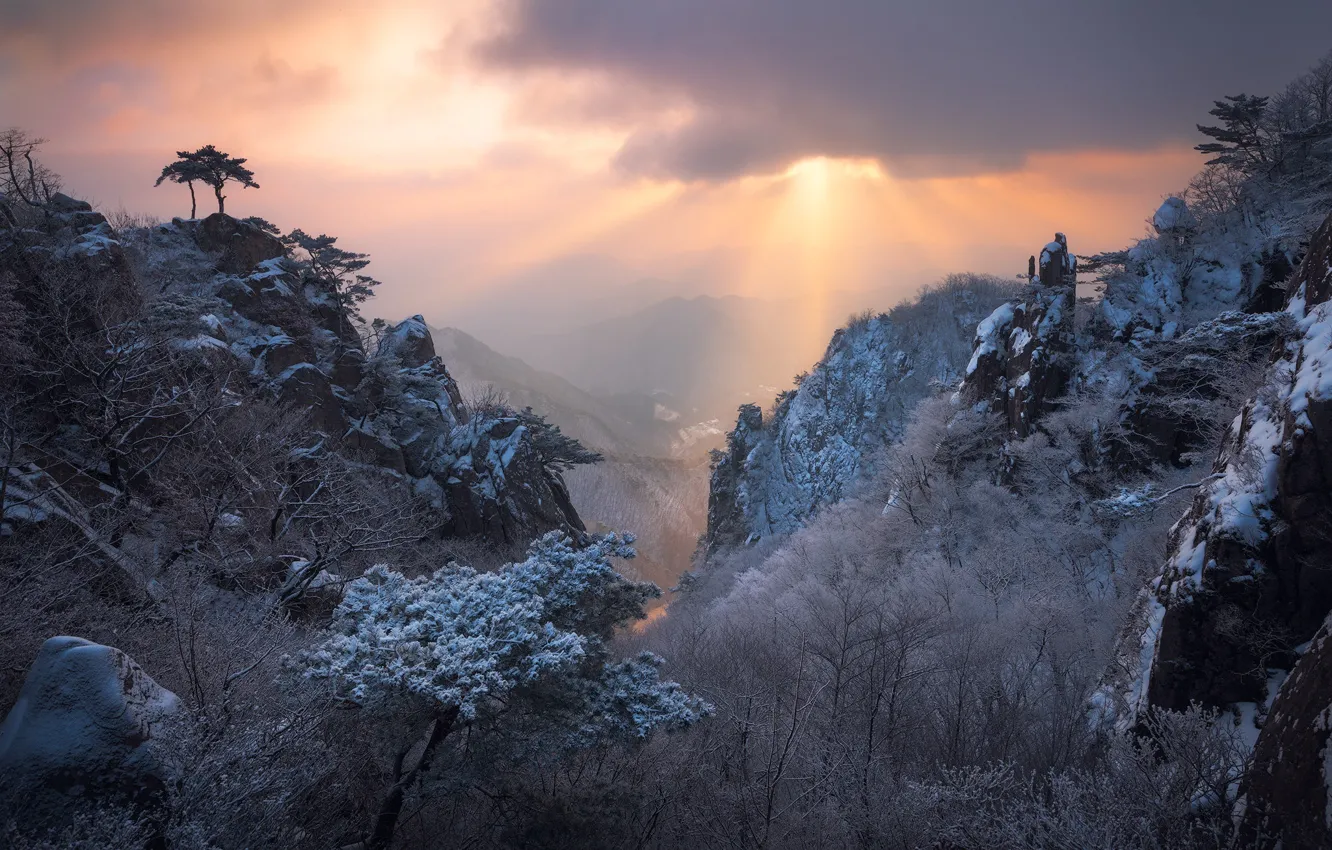 Фото обои зима, облака, свет, снег, деревья, горы