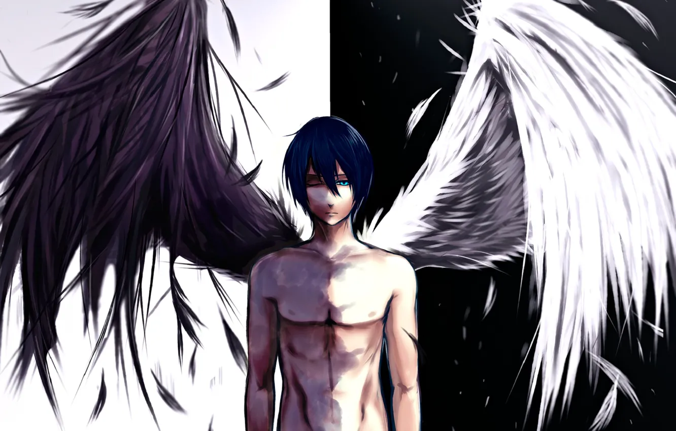 Фото обои крылья, ангел, Бездомный Бог, Noragami, Ято