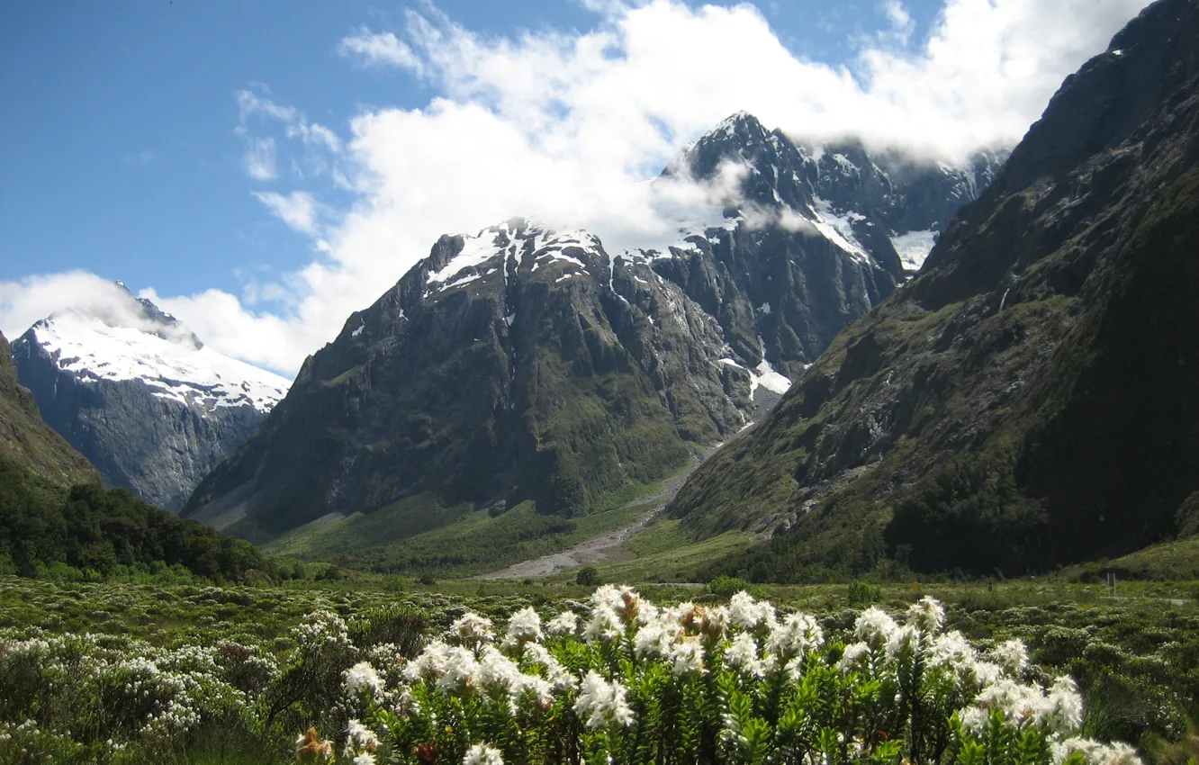 Фото обои пейзаж, горы, природа, фото, New Zealand, National Park, Fiordland