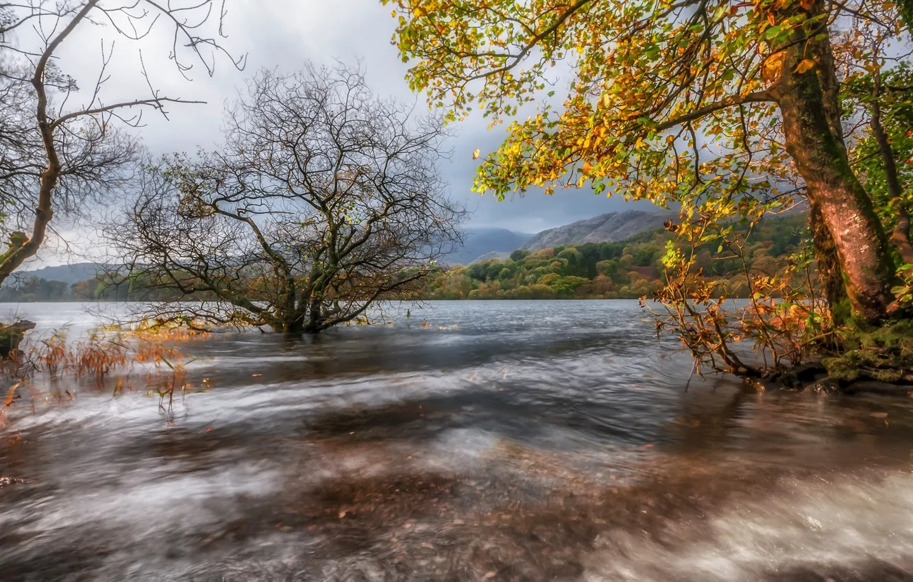 Фото обои осень, деревья, горы, озеро, Англия, Камбрия