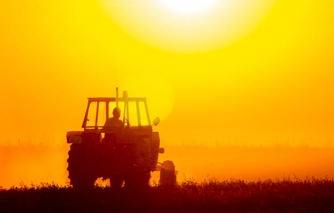 Фото обои field, tractor, worker