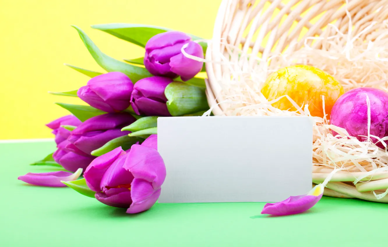 Фото обои цветы, праздник, яйца, весна, Пасха, тюльпаны, сиреневые, пасхальные