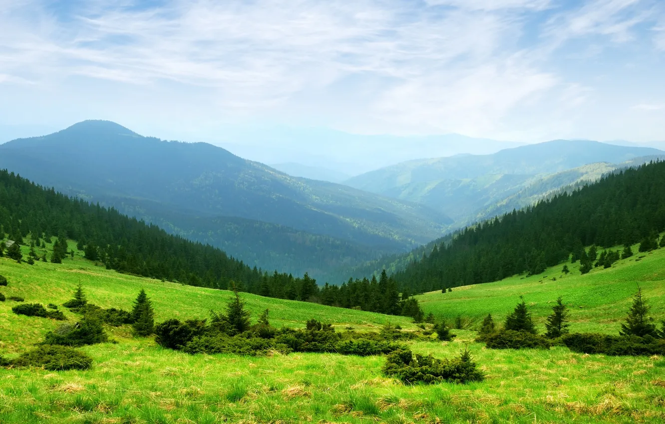 Фото обои зелень, трава, деревья, горы, природа, холмы