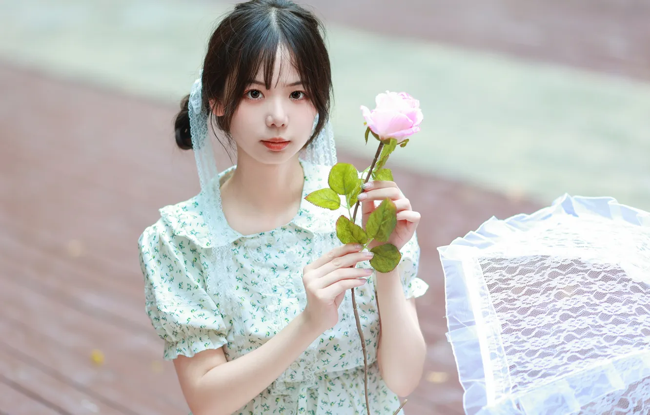 Фото обои Beautiful, Asian, Model, Flower, Rose, Umbrella, Woman, Cute