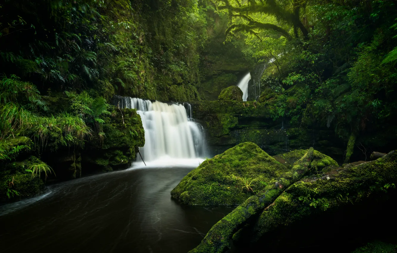 Фото обои зелень, лес, река, камни, водопад, мох, Новая Зеландия, каскад