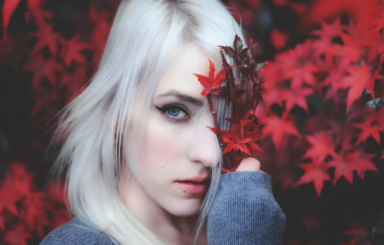 Фото обои осень, листья, девушка, краски, портрет