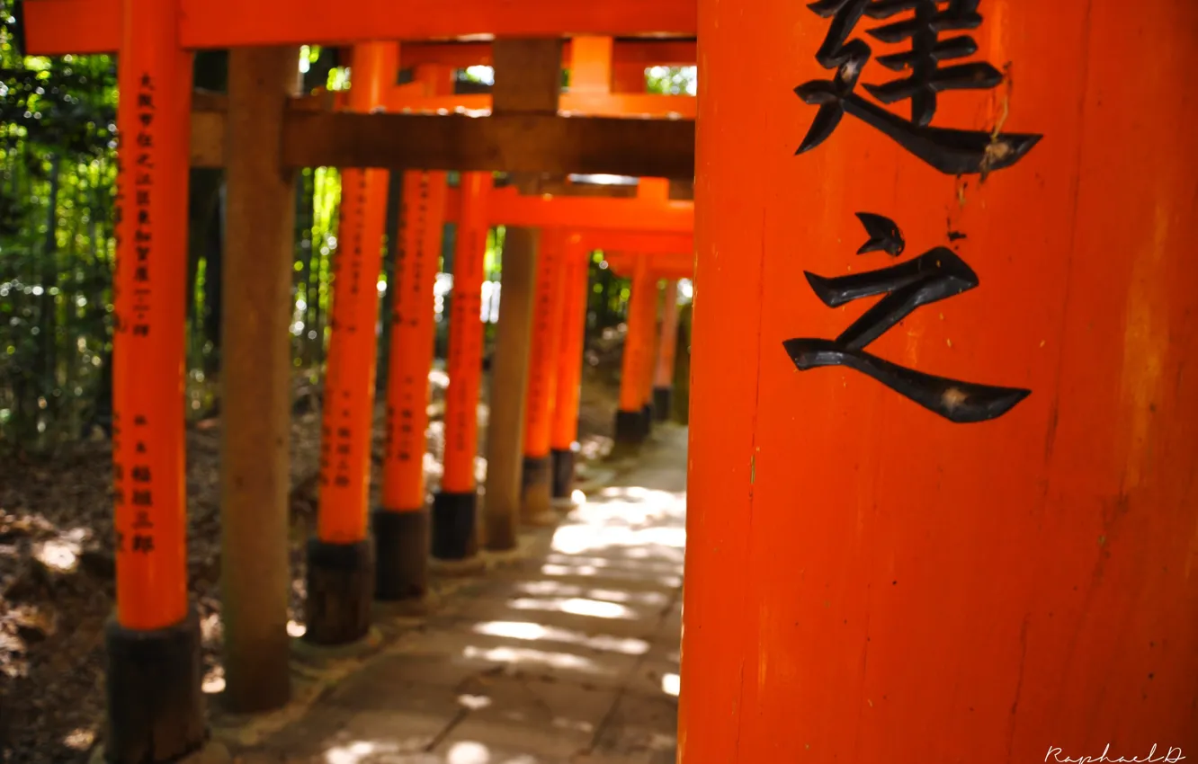 Фото обои Япония, иероглифы, Japan, тории, красные ворота