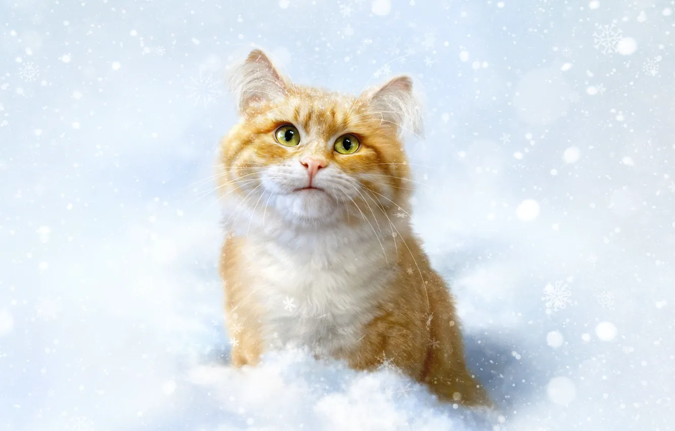 Фото обои Зима, Кошка, Снег, Кот, Стиль, Морда, Арт, Art