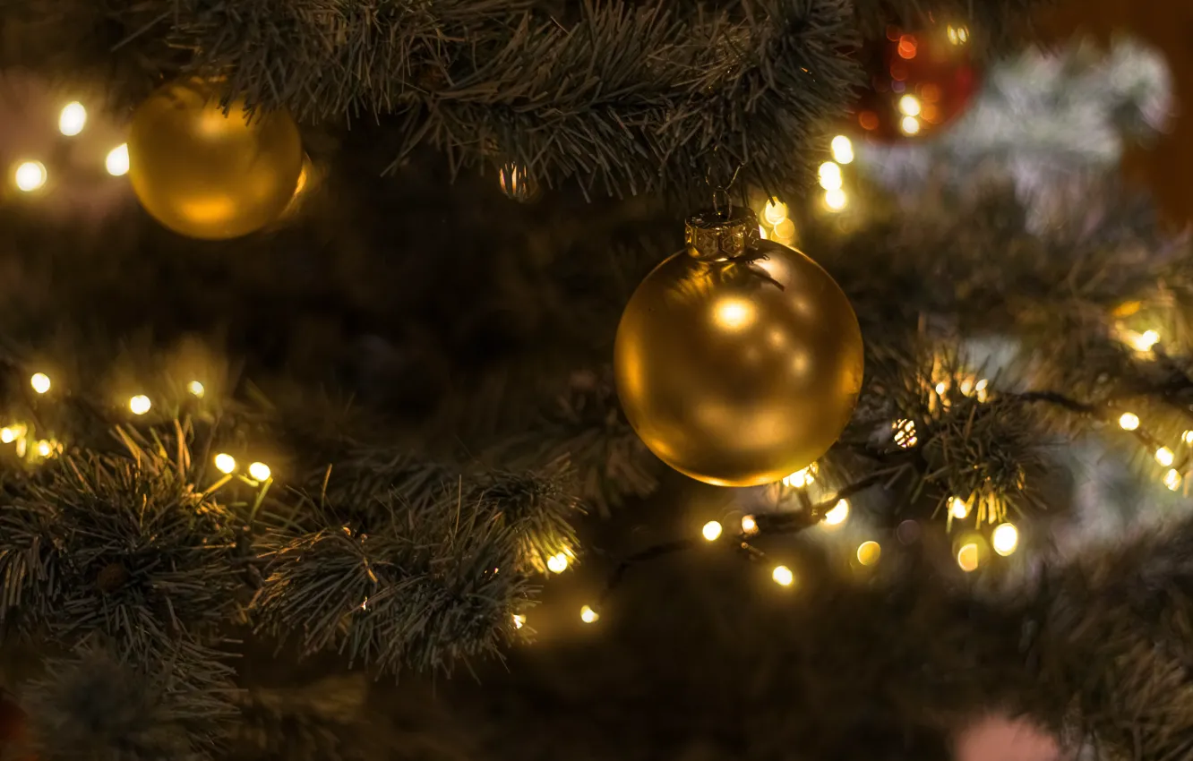Фото обои шарики, ветки, огни, праздник, Рождество, Новый год, позолота, хвоя