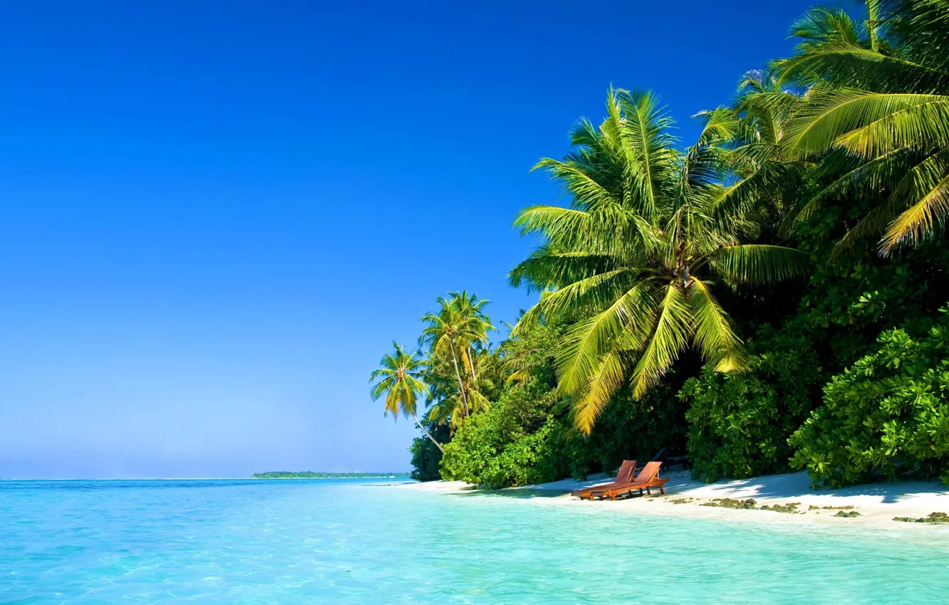 Фото обои море, пляж, пальмы, океан, берег, рай