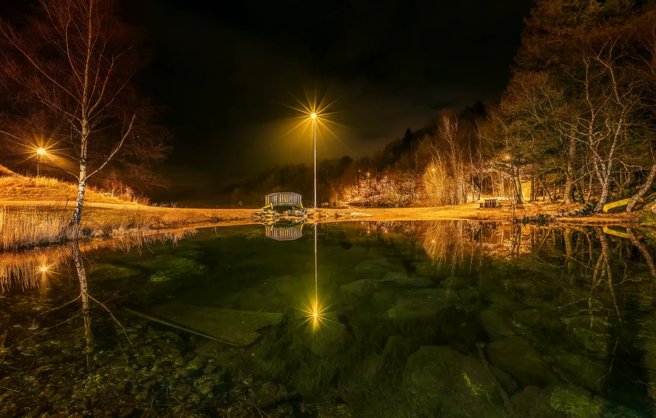 Фото обои деревья, ночь, огни, пруд, парк, камни, дно, Норвегия
