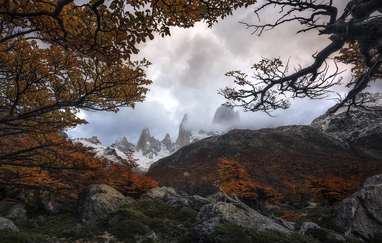 Фото обои деревья, горы, ветки, природа, камни, Осень, Южная Америка