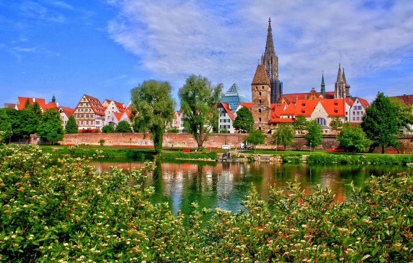 Фото обои лес, небо, природа, город, река, берег, дома, Германия