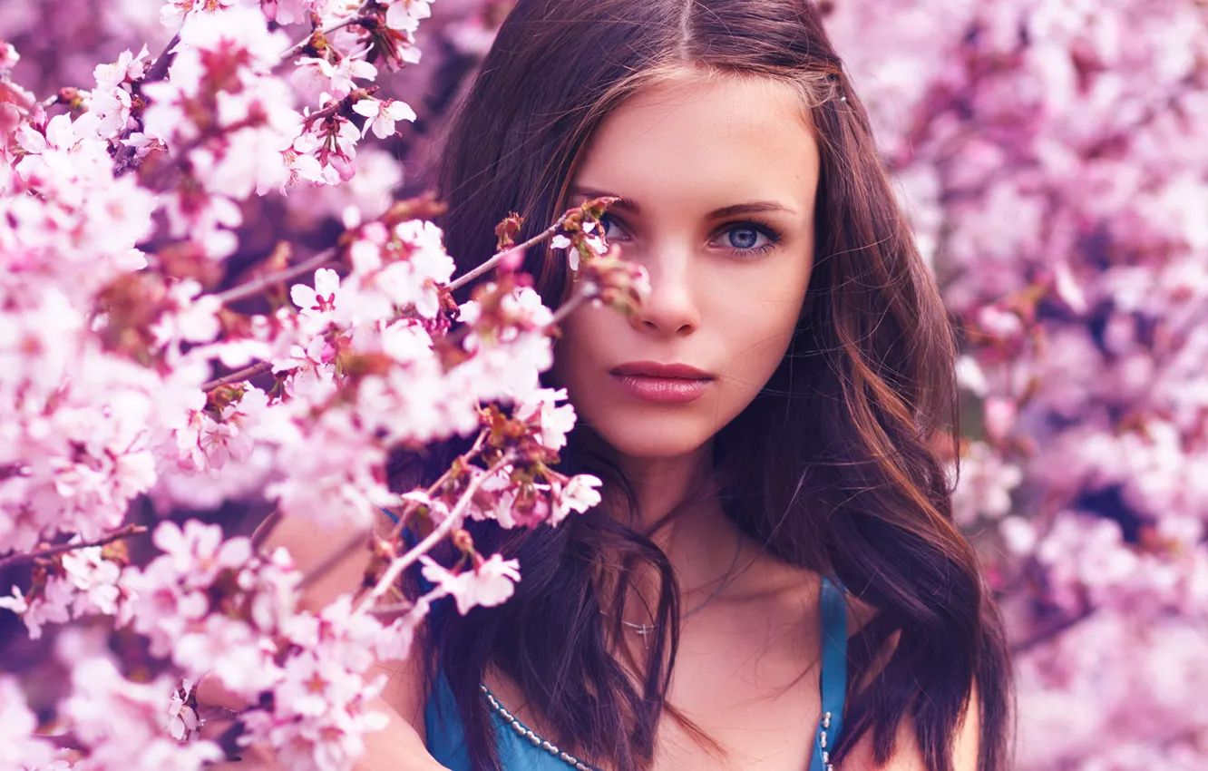 Фото обои девушка, цветы, природа, весна, макияж, сакура