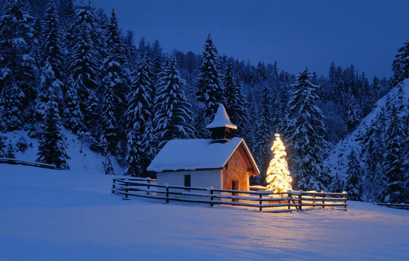 Фото обои зима, лес, ночь, Природа, Пейзаж, часовня, новогодняя елка