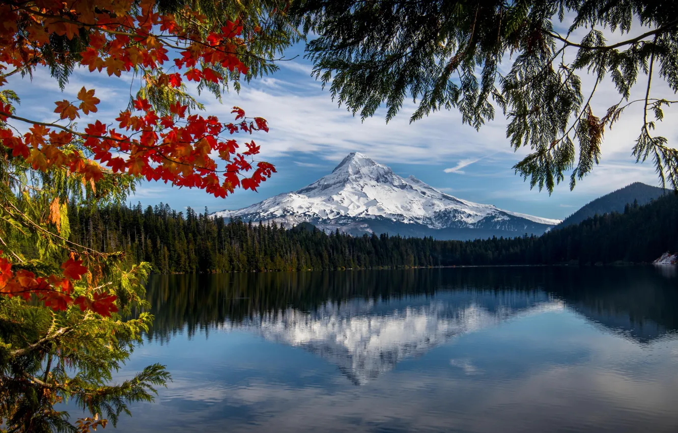 Фото обои осень, лес, ветки, озеро, отражение, гора, Орегон, Oregon