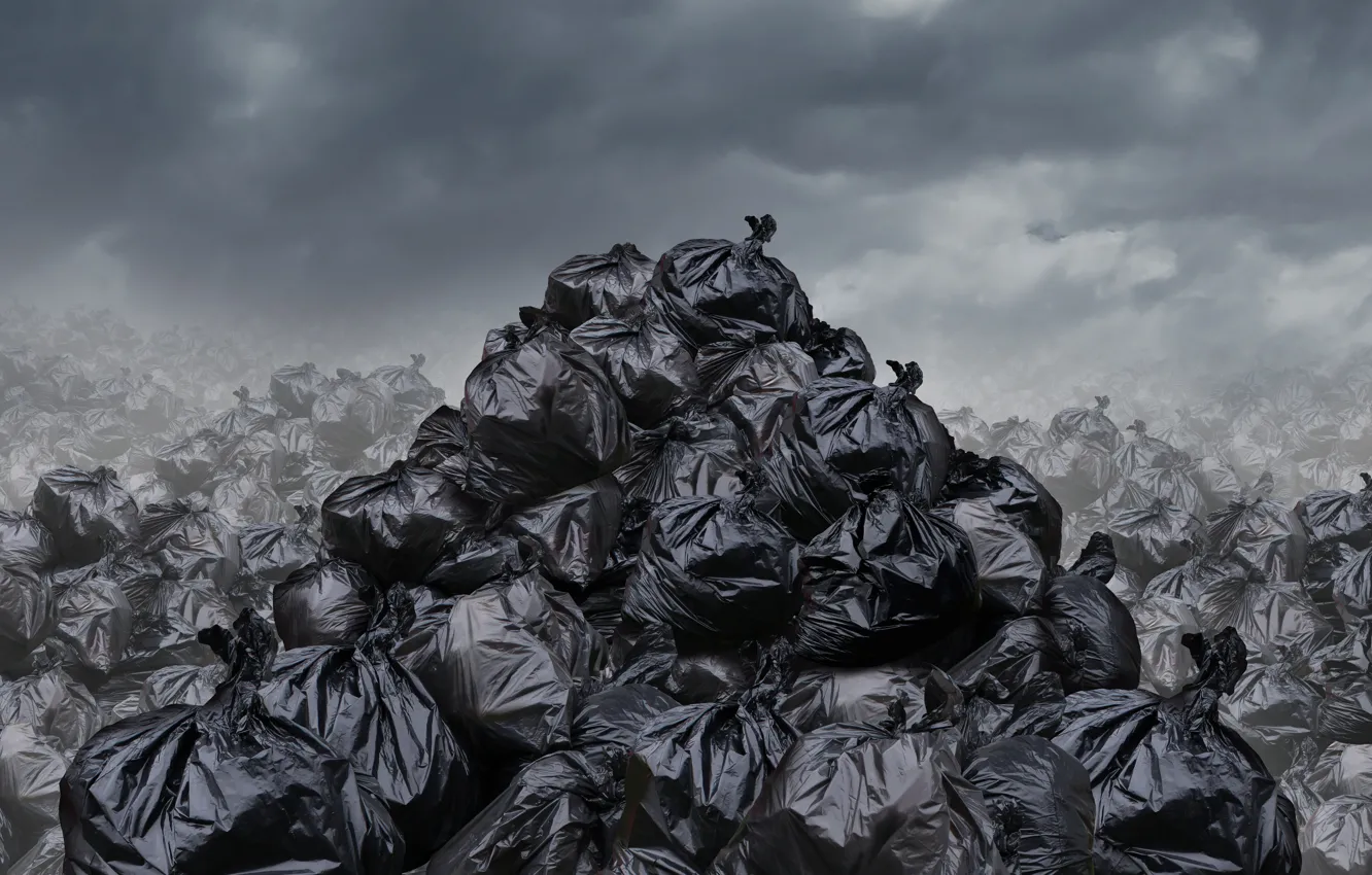 Фото обои pollution, trash bags, waste