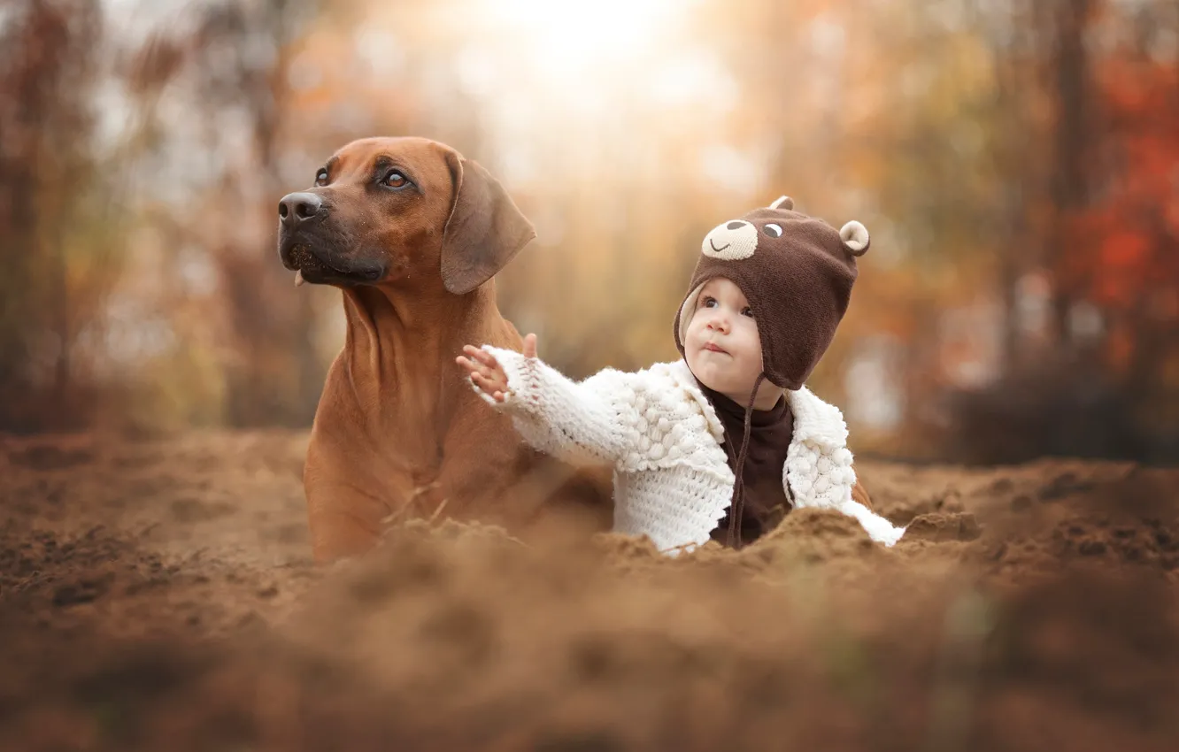 Фото обои осень, собака, друзья, ребёнок