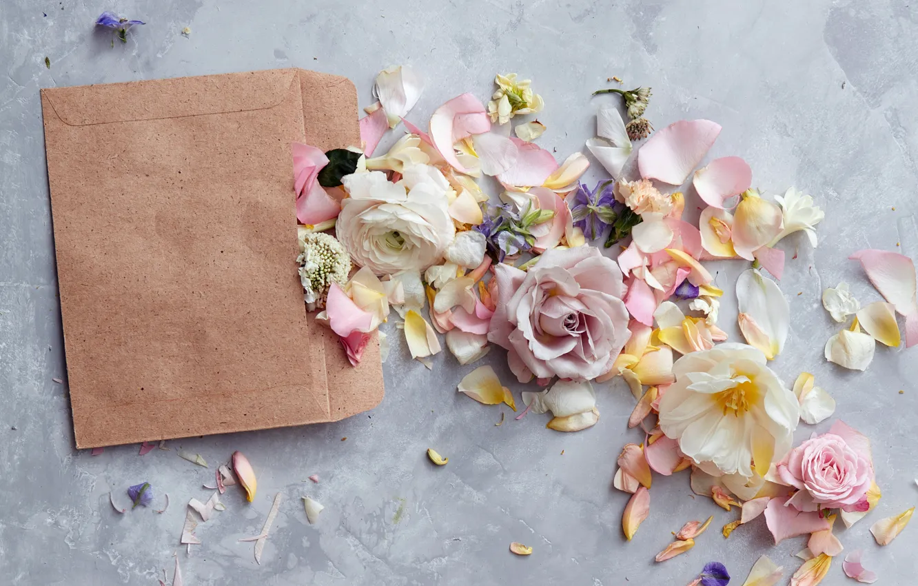 Фото обои цветы, бумага, flowers, конверт, карточка, Backgrounds