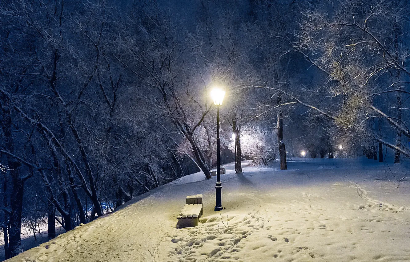 Фото обои зима, деревья, парк, вечер, фонарь