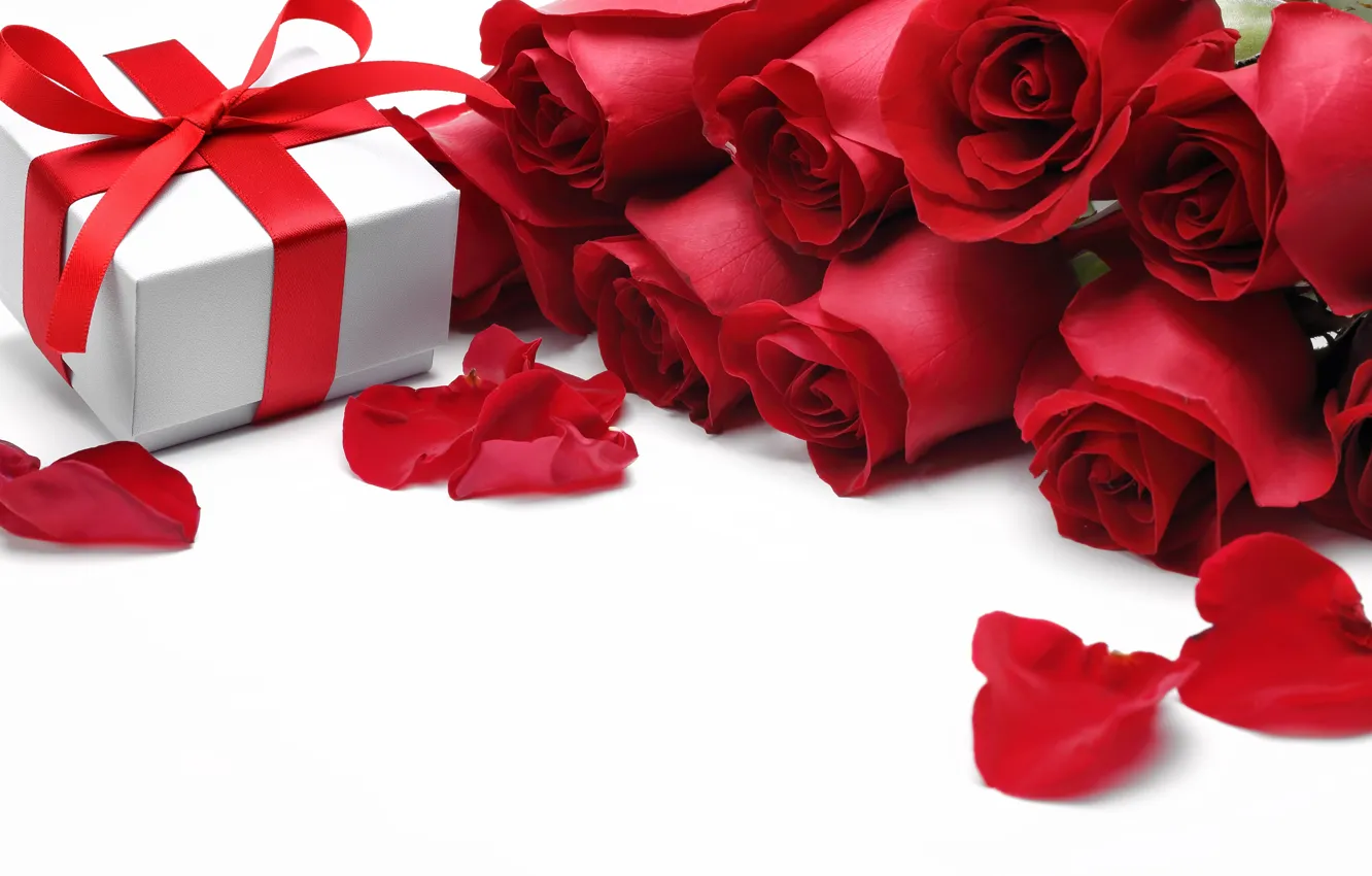 Фото обои цветы, розы, valentine's day, красные розы