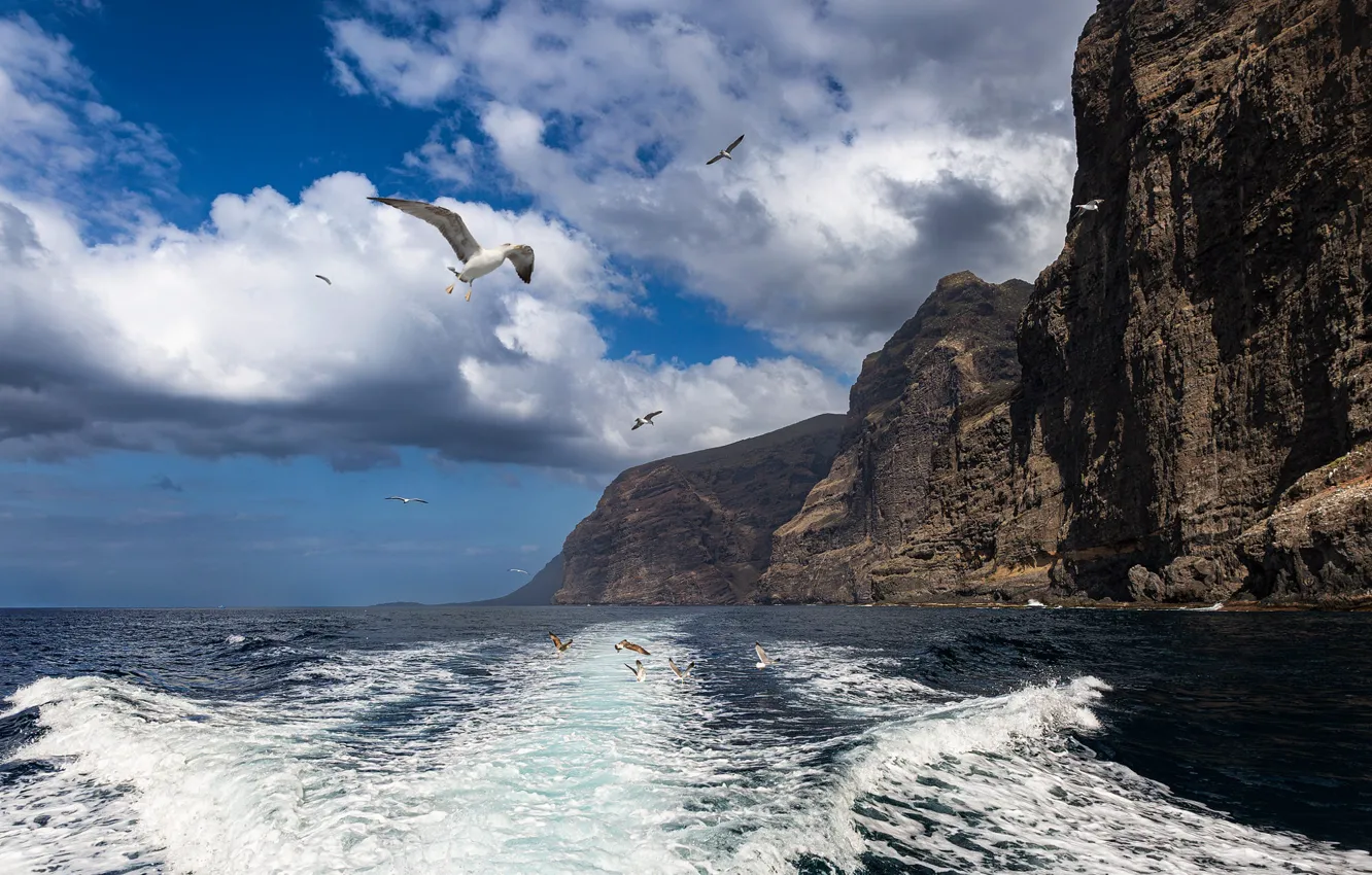 Фото обои море, волны, облака, полет, горы, синева, скалы, птица