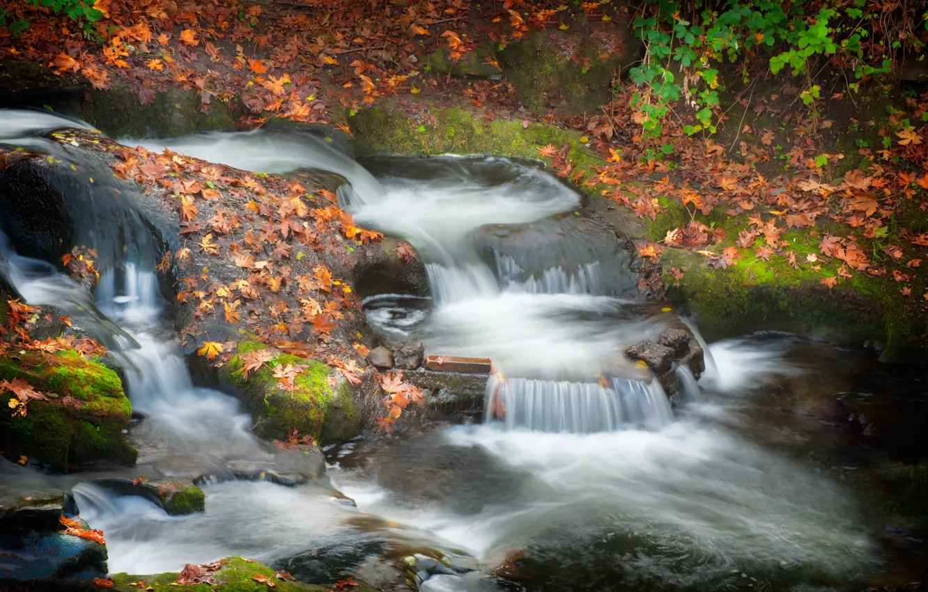 Фото обои осень, камни, водопад, листопад, осенние листья