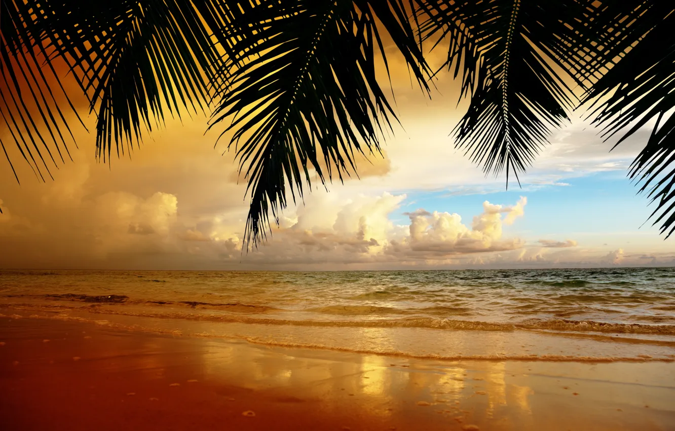 Фото обои песок, пляж, небо, облака, пейзаж, закат, природа