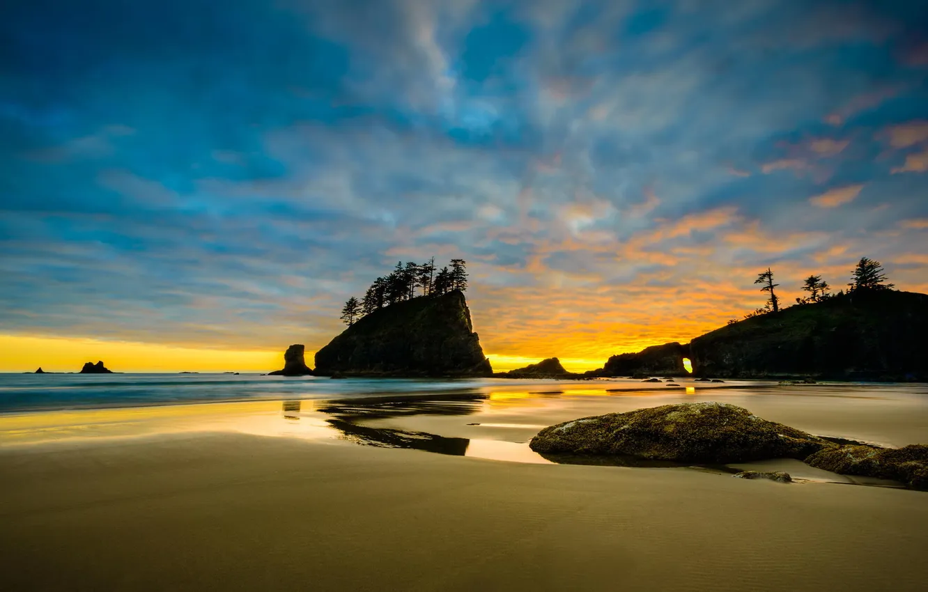 Фото обои песок, пляж, деревья, скала, океан, рассвет, Washington, Olympic National Park