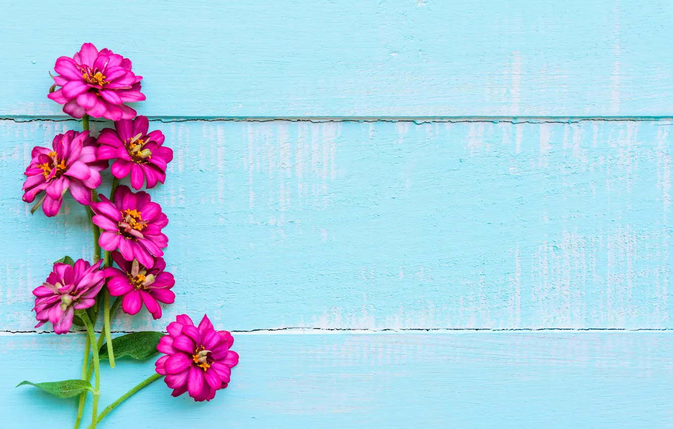 Фото обои цветы, фон, wood, blue, flowers, purple
