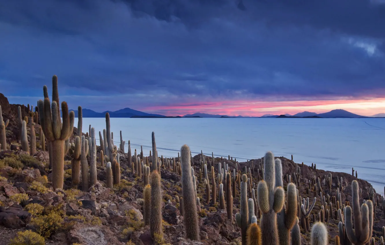 Фото обои облака, горы, озеро, кактус, Боливия