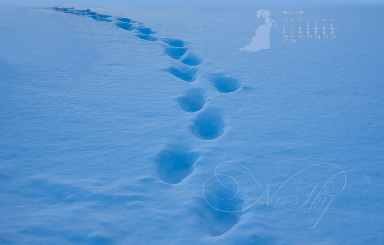 Фото обои снег, следы, путь, голубой, след, календарь, февраль, 2017