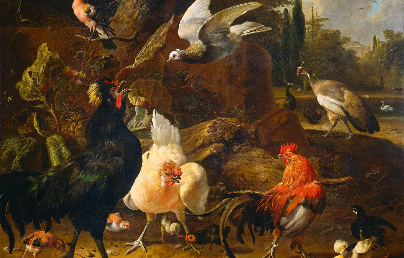 Фото обои животные, картина, Мельхиор де Хондекутер, Птичий Двор