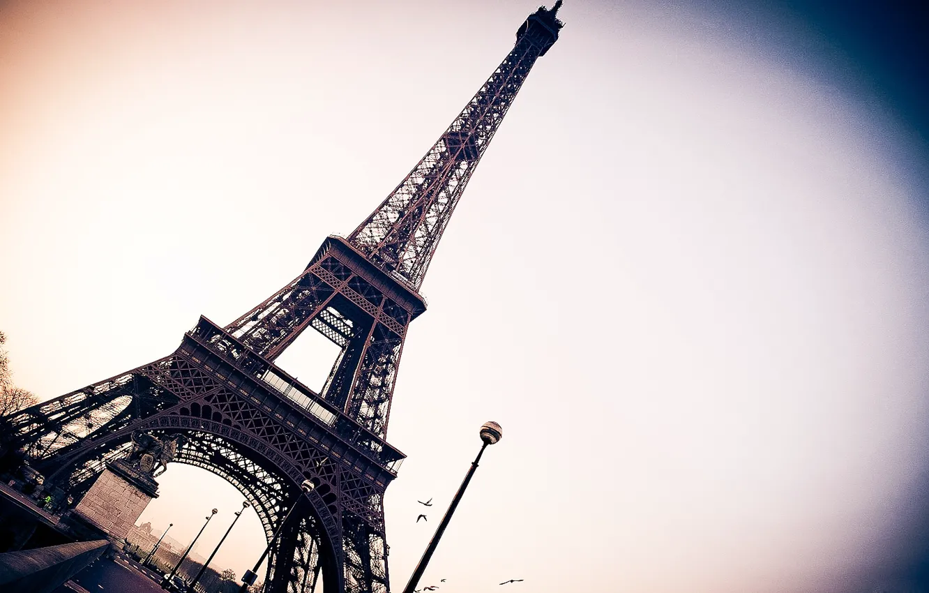 Фото обои башня, париж, франция, эйфелева, обои город