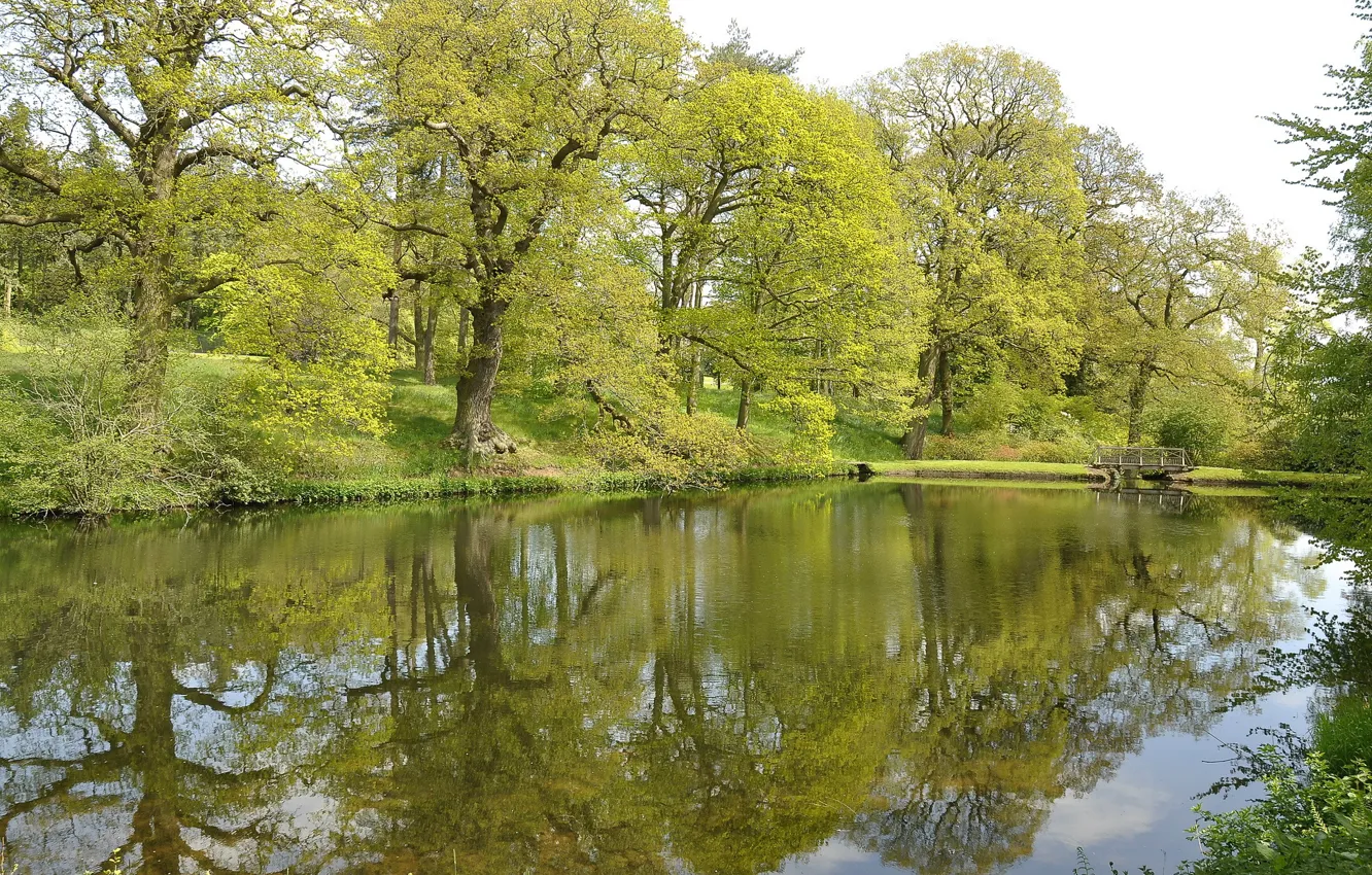 Фото обои зелень, деревья, мост, парк, река, весна