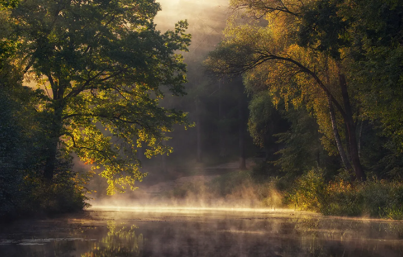 Фото обои пейзаж, река, утро