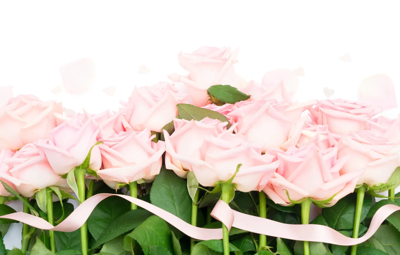 Фото обои розы, букет, pink, flowers, roses, розовые розы