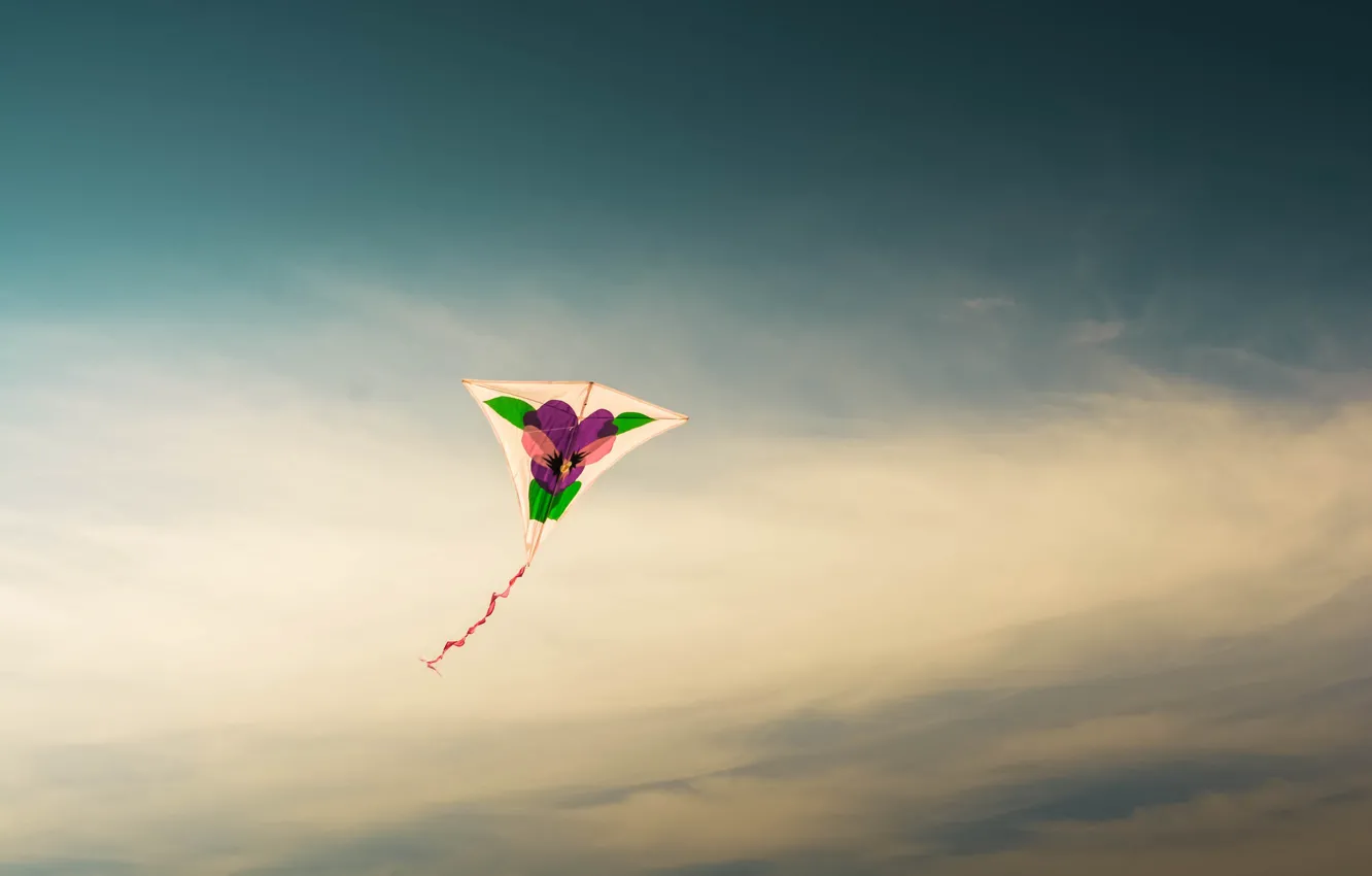 Фото обои sky, flight, kite